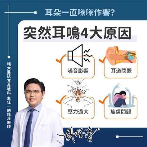 最近一直耳鳴|耳鳴怎麼辦？耳鼻喉科醫師解析原因、治療、解決方法